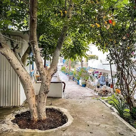 Neighborhood House * Stalida